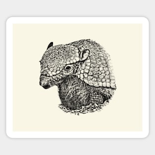 Armadillo Sticker